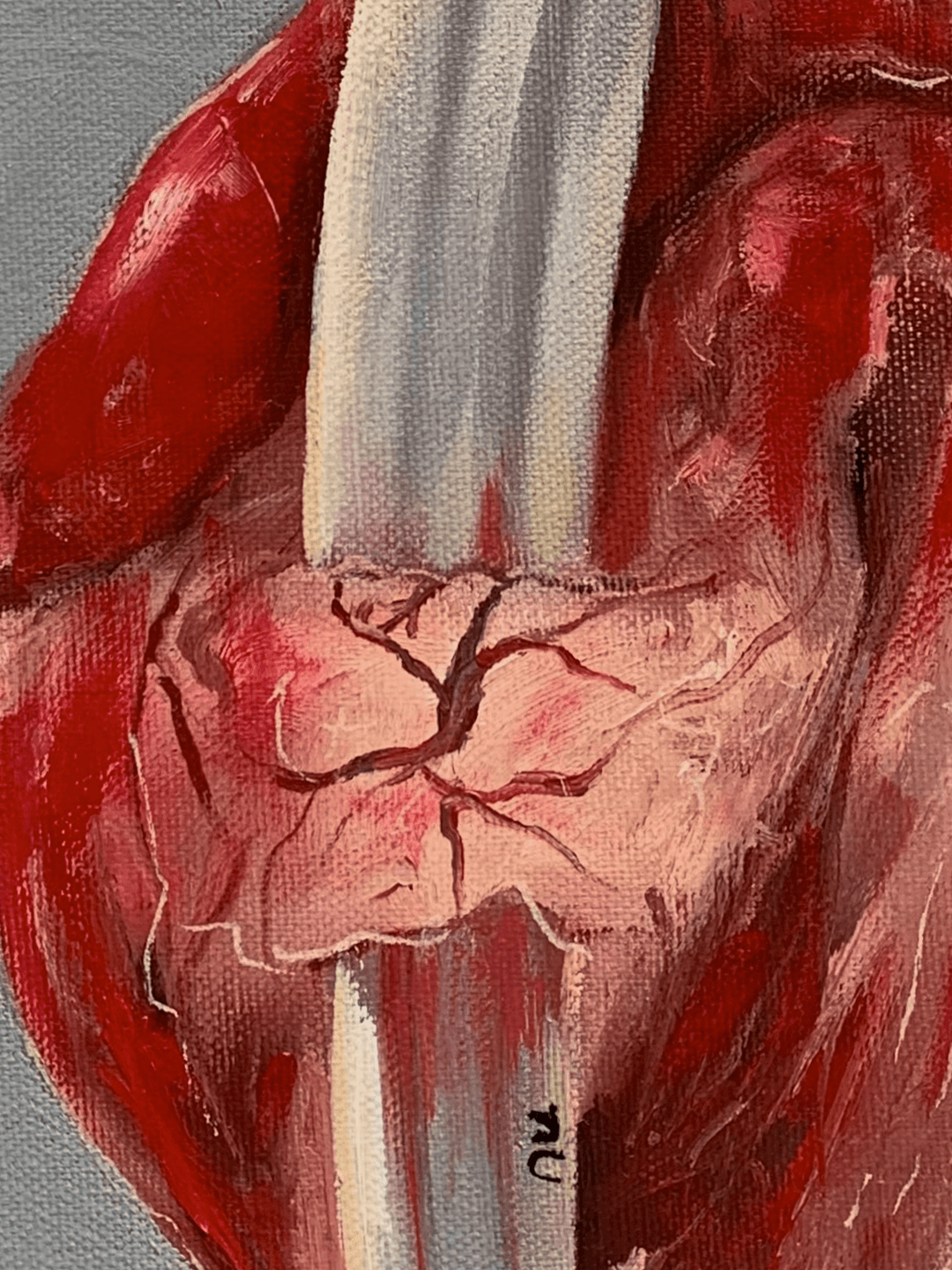 Product gallery 3248