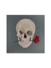 Product thumb gallery 3326