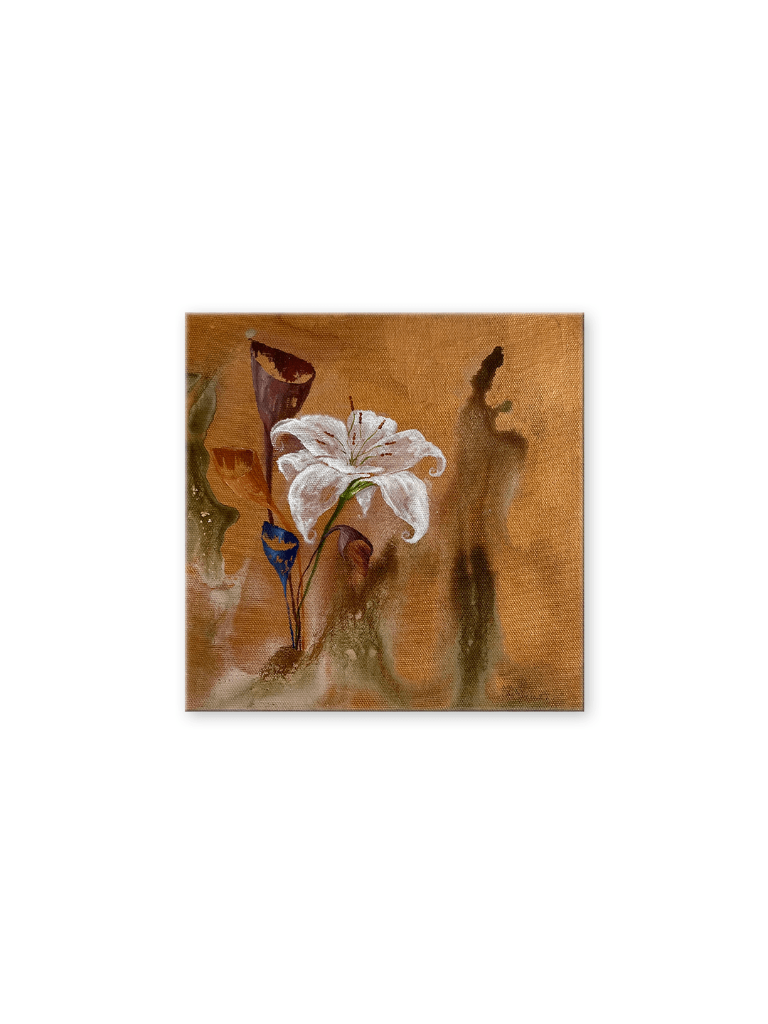 Product gallery 3841