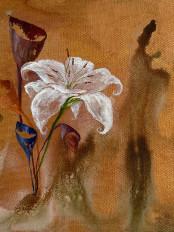 Product thumb gallery 3843