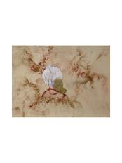 Product thumb gallery 5008