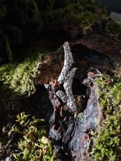 Product thumb gallery 5248