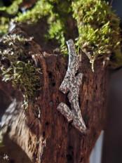 Product thumb gallery 5249