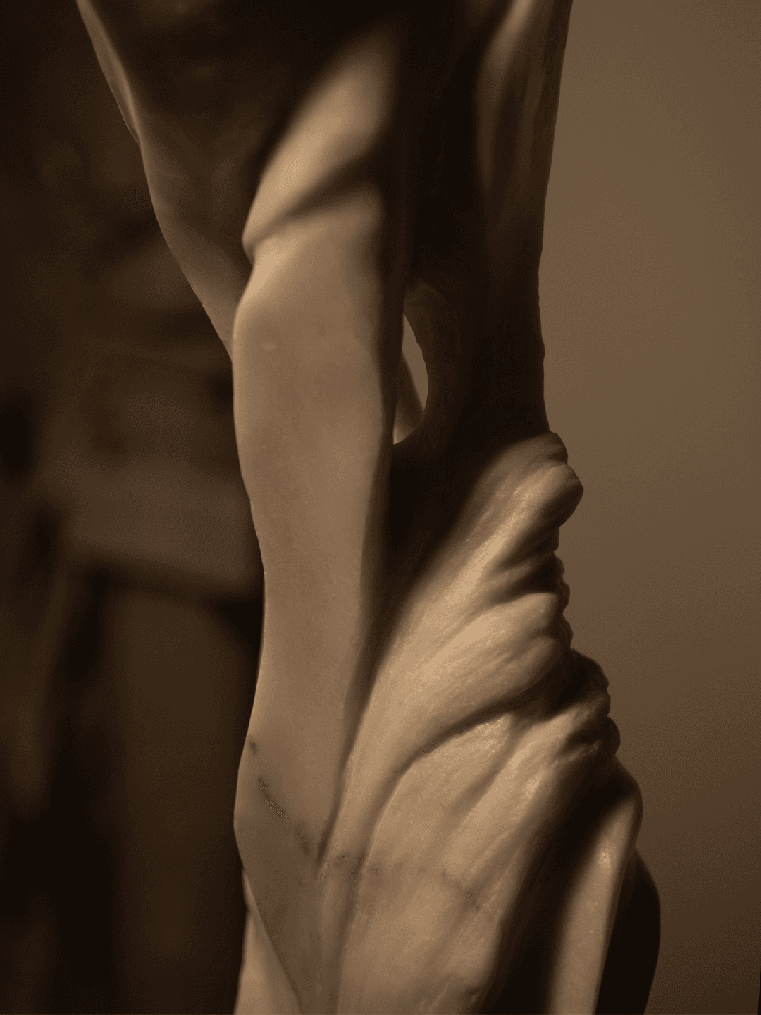 Product gallery 5615